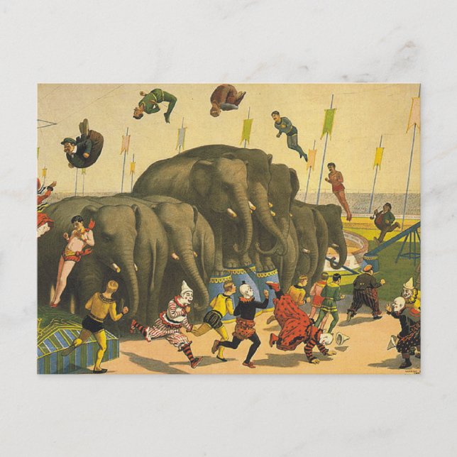 Postal TEE Elephant Acrobats (Anverso)