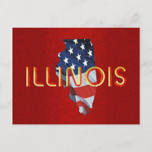 Postal TEE Illinois Patriot