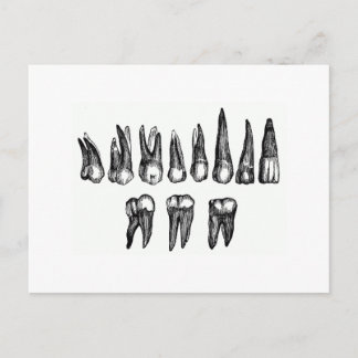 Postal Teeth Vintage