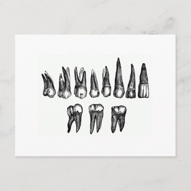 Postal Teeth Vintage (Anverso)