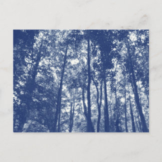 Postal Tejido de bosques - Efecto cianotipio