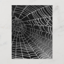 Postal tela araña con cuentas de agua