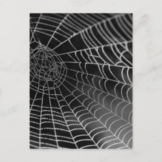 Postal tela araña con cuentas de agua