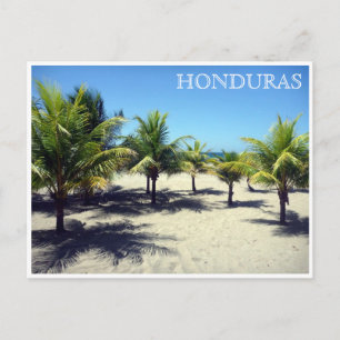 Postal tela palms honduras