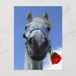 Postal tema del amor de caballo y rosa