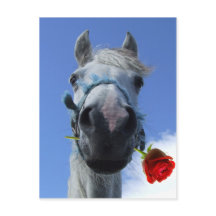 tema del amor de caballo y rosa