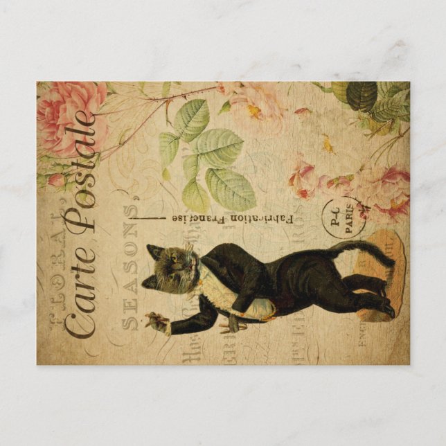 Postal Tema del gato de época | Carte Postale | Baile de  (Anverso)