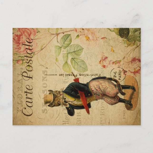 Postal Tema del gato de época | Carte Postale | Gato Vest (Anverso)