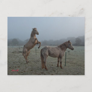 Postal Temblorosa mañana