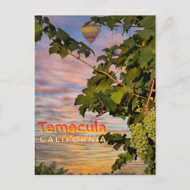 Postal Temecula Wine Country Postcard Grapevine (Anverso)