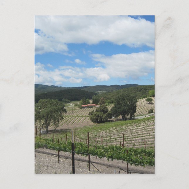 Postal Templeton Wine Country a finales de mayo (Anverso)