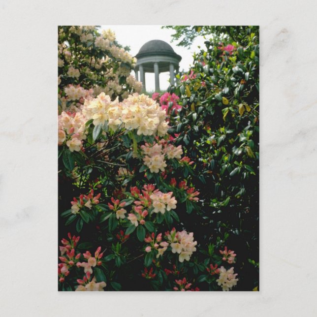 Postal Templo blanco entre flores - Kew Gardens, Inglater (Anverso)
