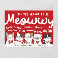 Temporada de aburrimiento de gatos graciosos