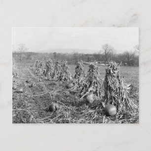 Postal Temporada de cosecha, 1906