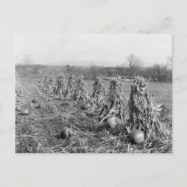 Postal Temporada de cosecha, 1906 (Anverso)