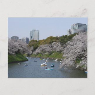 Postal Temporada de flores de cerezo (Sakura) en Tokio, J