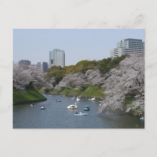 Postal Temporada de flores de cerezo (Sakura) en Tokio, J (Anverso)