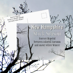 Postal Temporada de palos de New Hampshire Foto de Nueva 