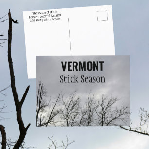 Postal Temporada de palos de Vermont Nueva Inglaterra Fot
