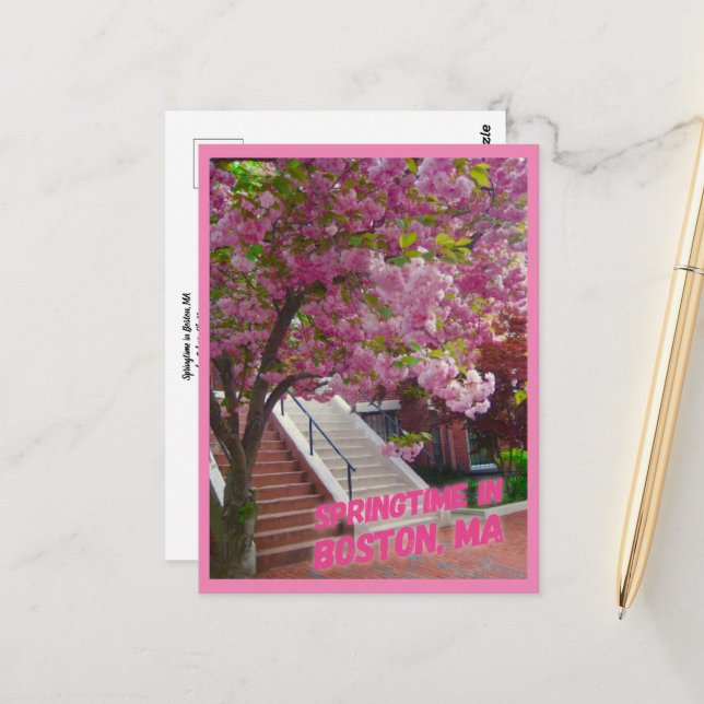 Postal Temporada de primavera en Boston, MAMÁES (Anverso/Reverso In Situ)