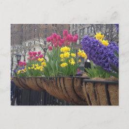 Postal Temporada de primavera en Greeley Square NYC Flore