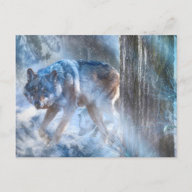 Postal TEMPORADA Gris DE Lobo DE LA LLUVIA (Anverso)