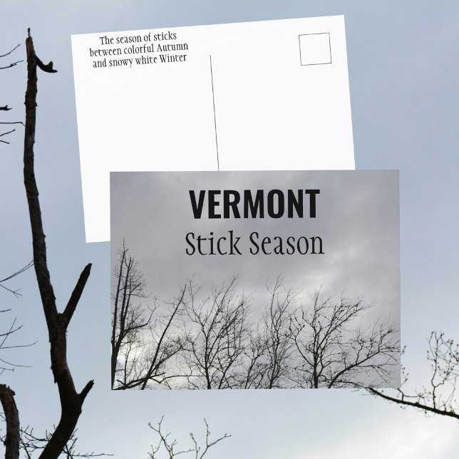 Postal Temporada Vermont Stick Nueva Inglaterra Fotografí (Subido por el creador)