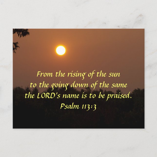 Postal Temprano En Junio (Anverso)