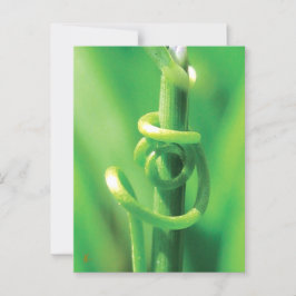 Postal Tendril Vine Amantes en la Naturaleza