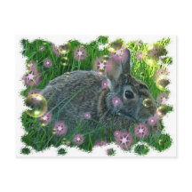 Tenemos un conejo Fiesta