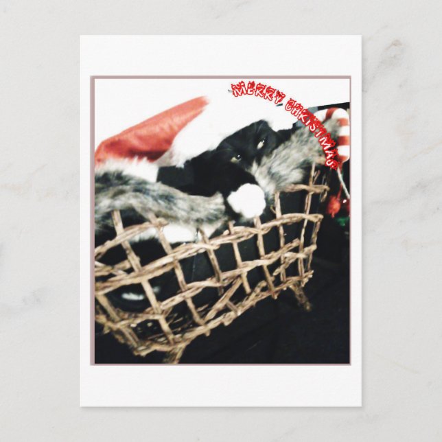 Postal Tener Navidades de pulgada negra (Anverso)