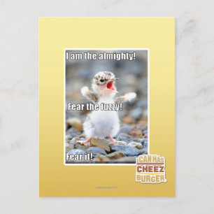 Postal ¡Tengan miedo de lo difuso!