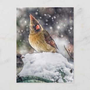 Postal Tengo mi ojo en ti