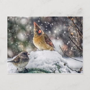 Postal Tengo mi ojo en ti