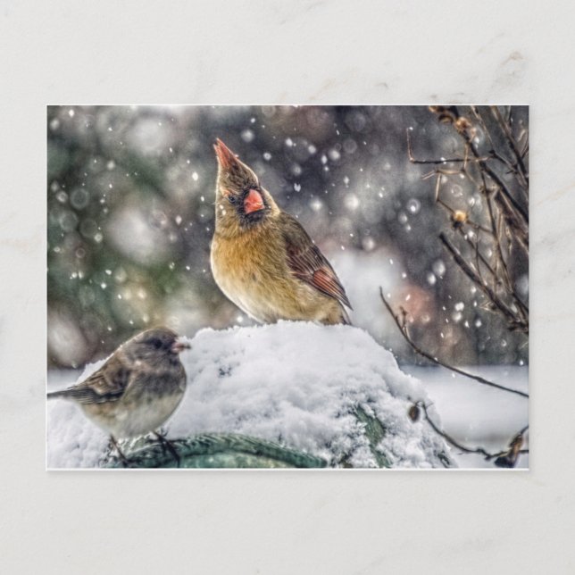 Postal Tengo mi ojo en ti (Anverso)