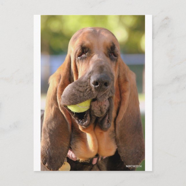 Postal ¿Tenis, alguien? (Anverso)