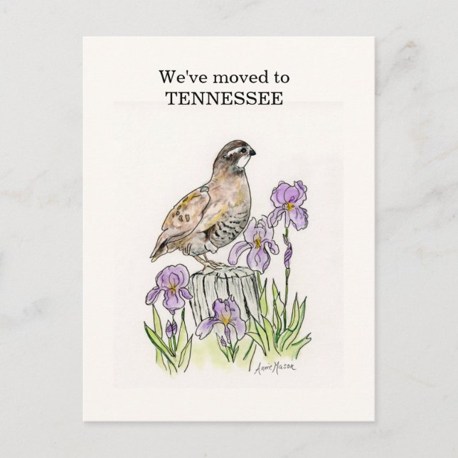 Postal Tennessee (Anverso)