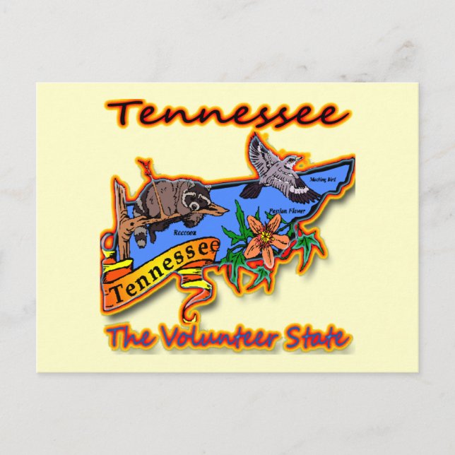Postal Tennessee El voluntariado Racoon State Flower Bird (Anverso)