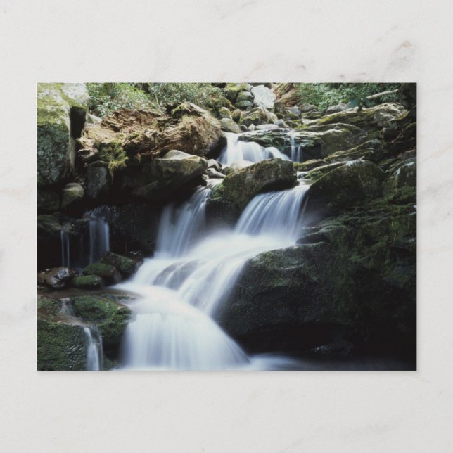 Postal Tennessee, Parque Nacional de las Montañas Great S (Anverso)