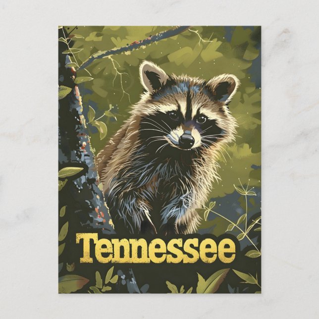 Postal Tennessee Raccoon (Anverso)