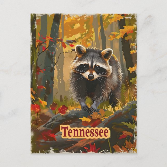 Postal Tennessee Raccoon (Anverso)