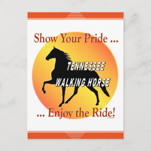 Postal Tennessee Walking Horse Mostrar tu Orgullo