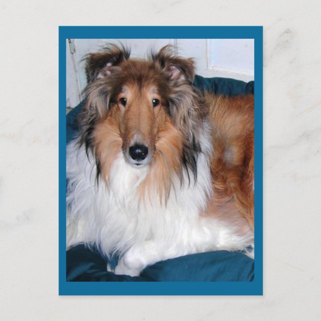 Postal Tennyson-A collie (Anverso)