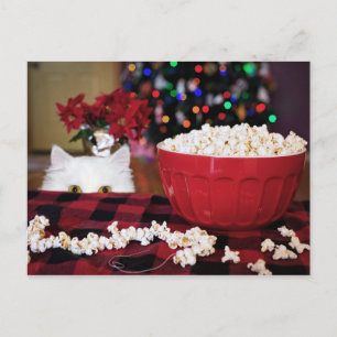 Postal Tentación de Navidades gatitos