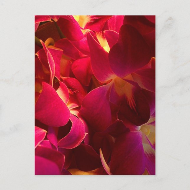 Postal Terciopelo (Anverso)