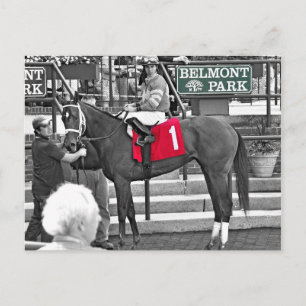 Postal Terciopelo Rojo gana la toma Chica de Jersey