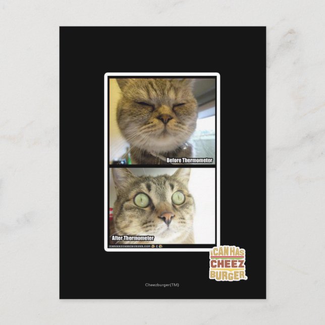 Postal Termómetro (Anverso)