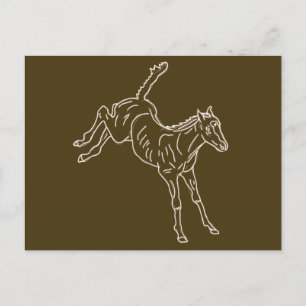 Postal Ternera de caballo de rana - línea transparente.