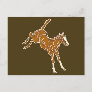 Postal Ternera de caballo de rana - multicolor transparen