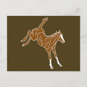 Postal Ternera de caballo de rana - uni-color transparent
